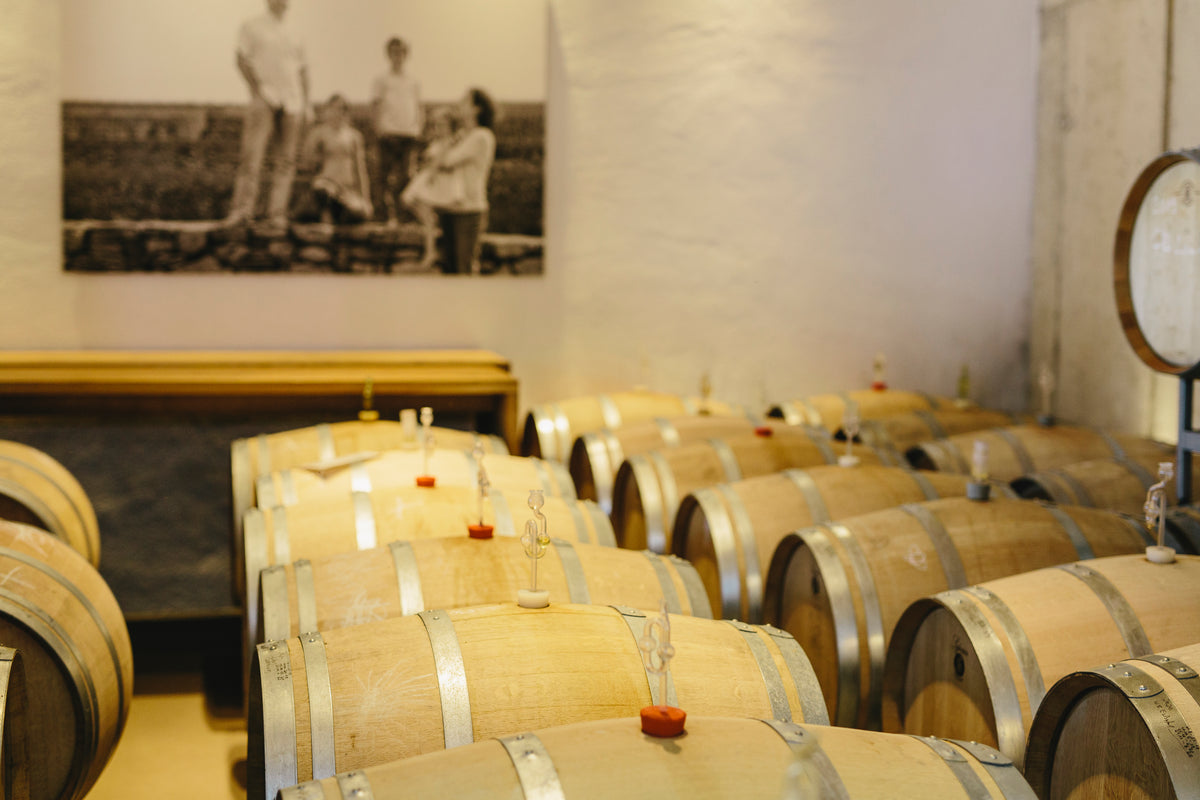 Bild von Weingut Hofmann