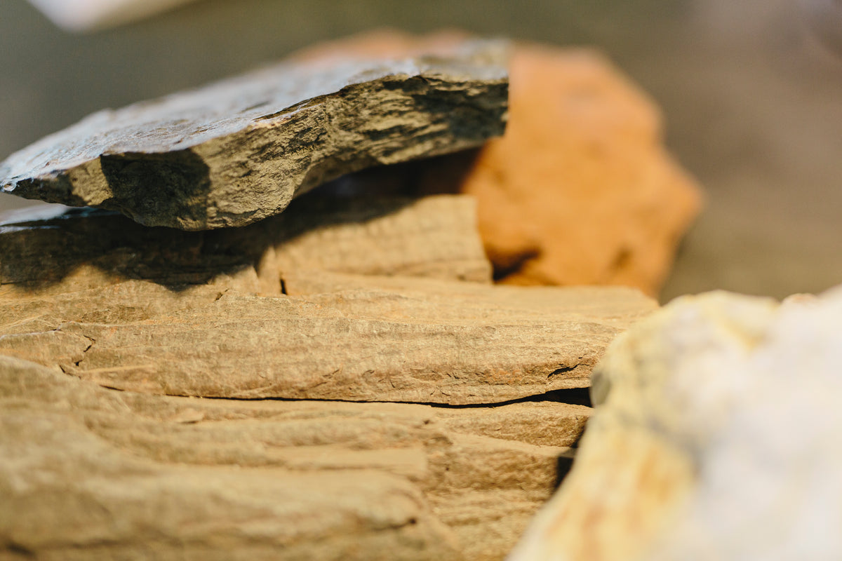 Bild von Weingut Hofmann