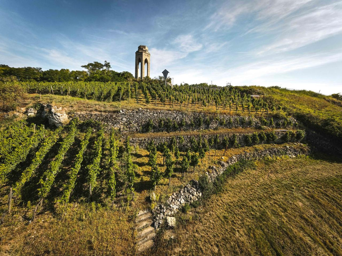 Bild von Weingut Neiss