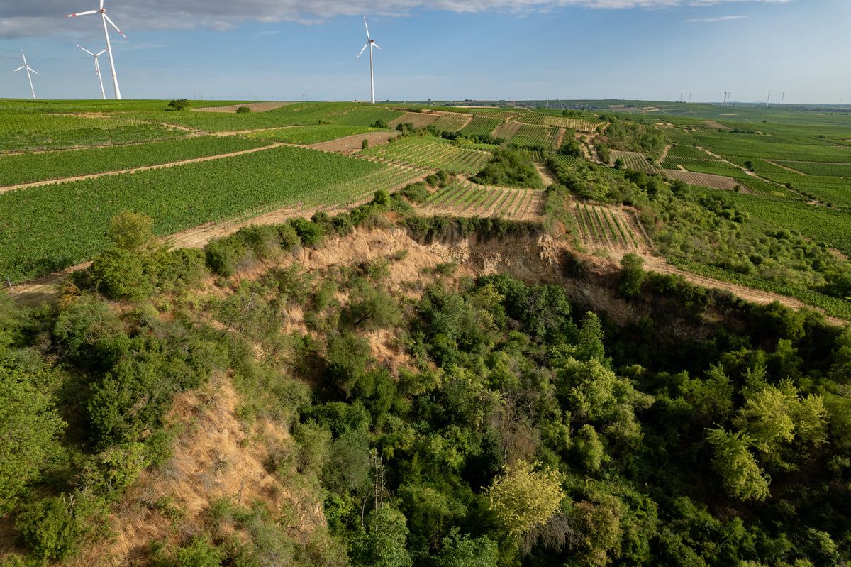 Bild von Weingut Neiss