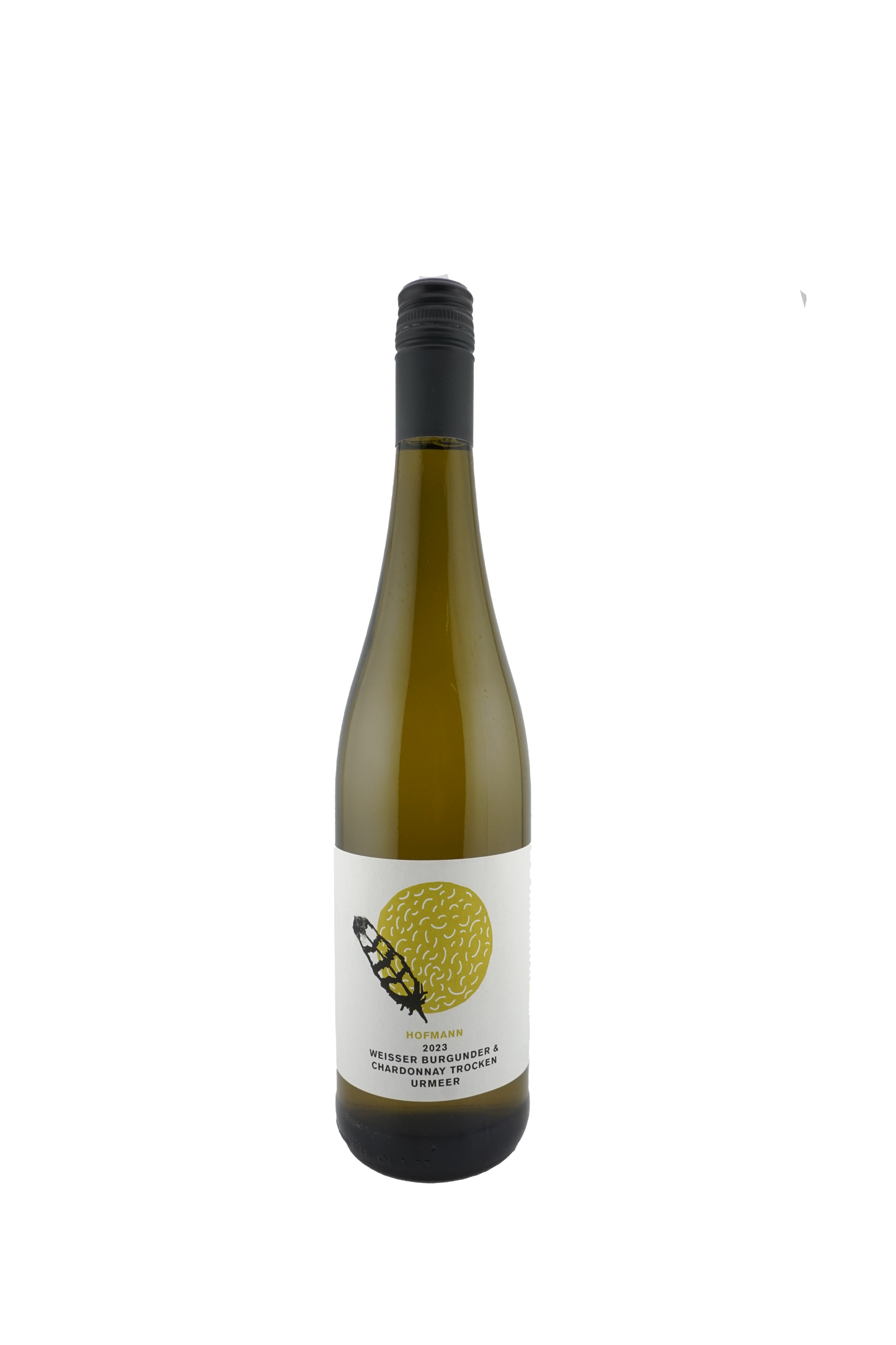 Hofmann Weißer Burgunder & Chardonnay"Urmeer" BIO | 2023