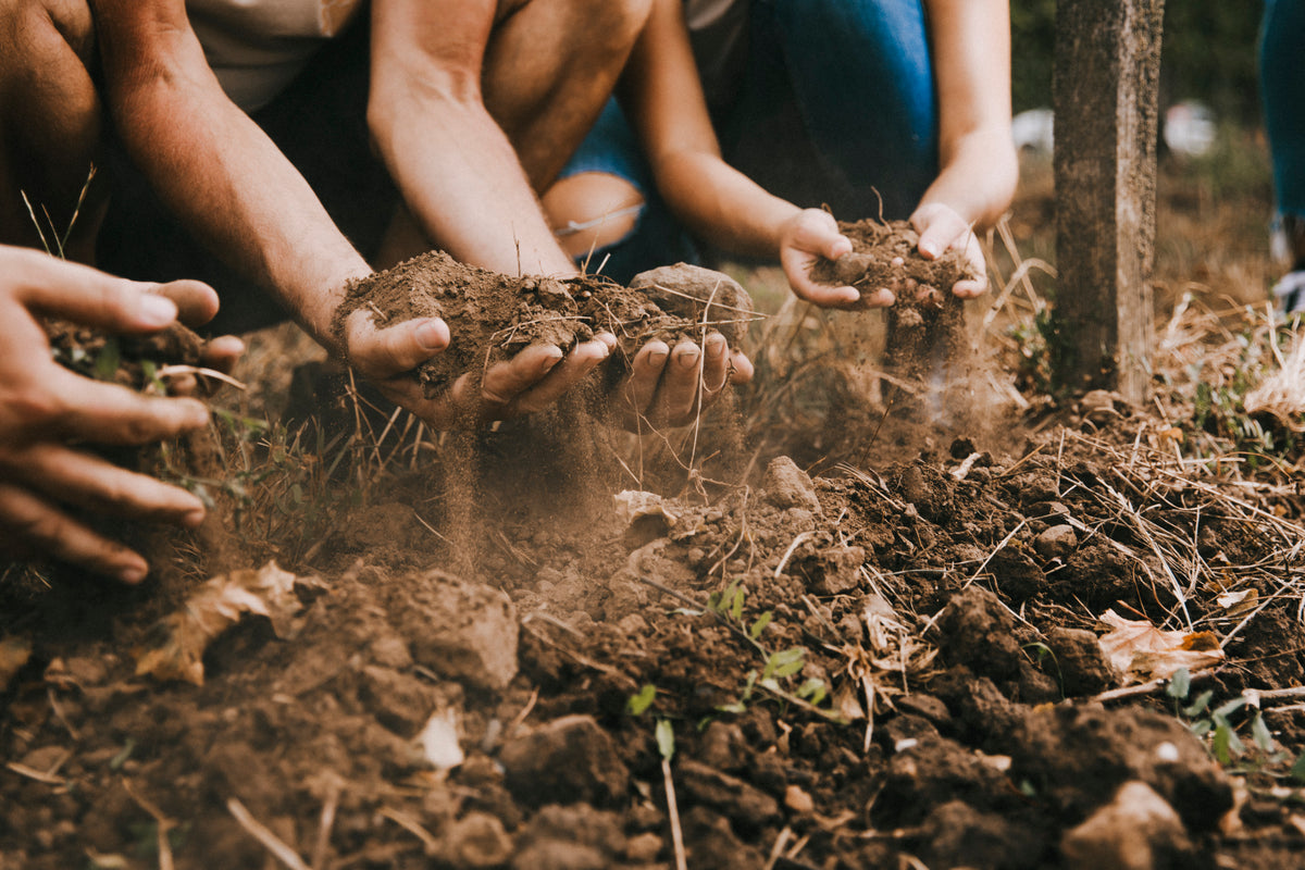 Bild von Weingut Bassermann-Jordan