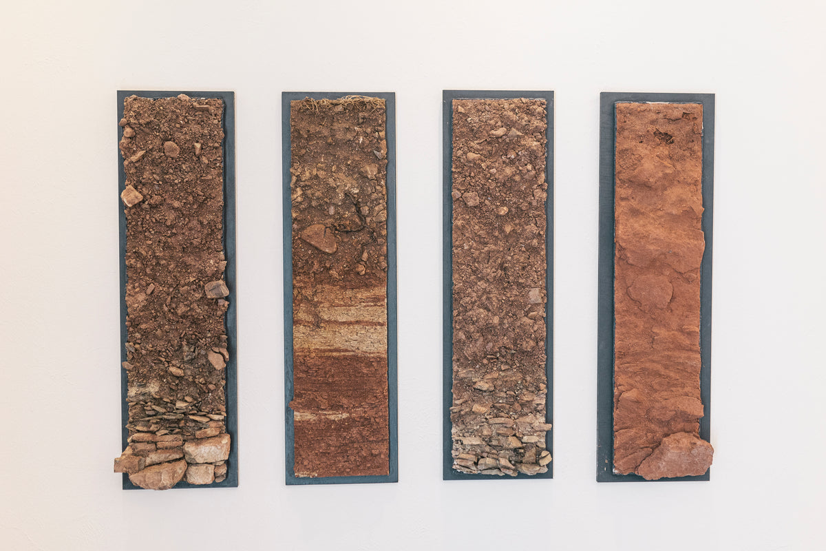 Bild von Weingut Dönnhoff