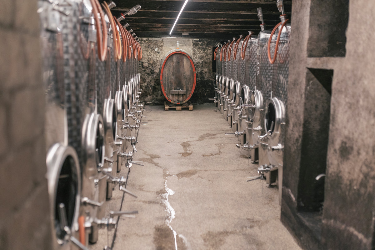 Bild von Weingut Dönnhoff