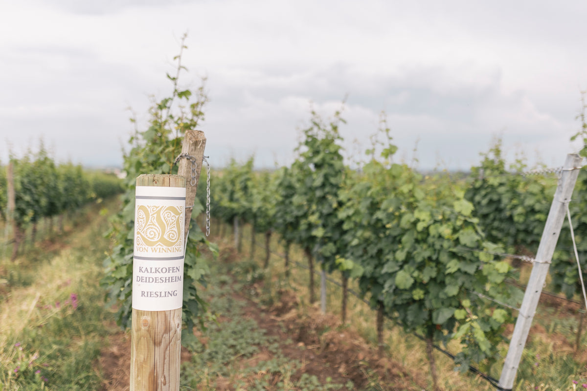 Bild von Weingut von Winning