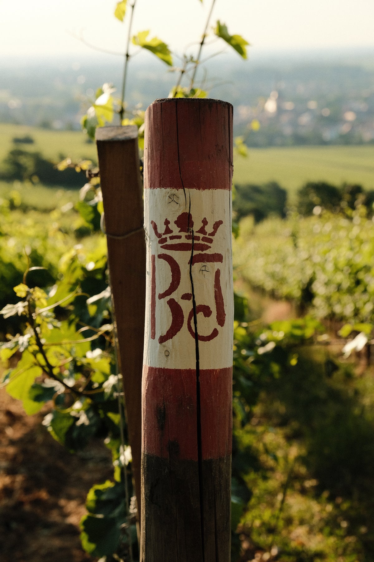 Bild von Weingut Bassermann-Jordan